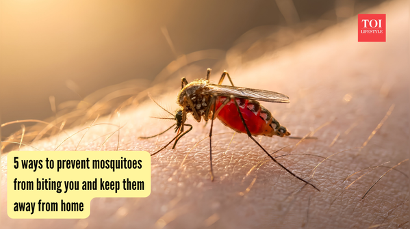 5 ways to prevent mosquitoes from biting you and keep them away from home
