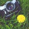 Article image for: Seeing through a lens