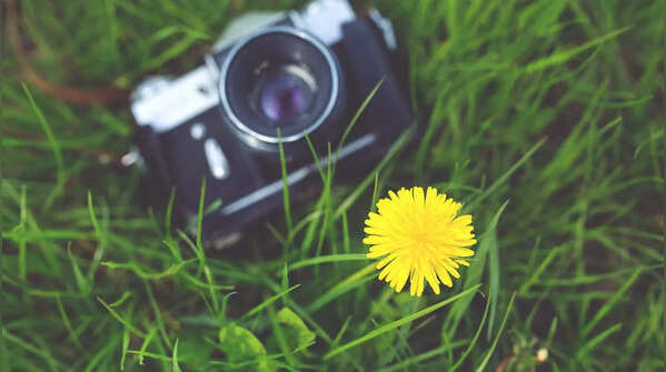 Seeing through a lens