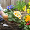 Article image for: Gardening (The ultimate <i class="tbold">teacher</i>)