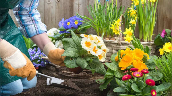 Gardening (The ultimate teacher)