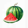The watermelon