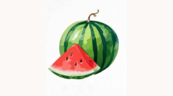 The watermelon