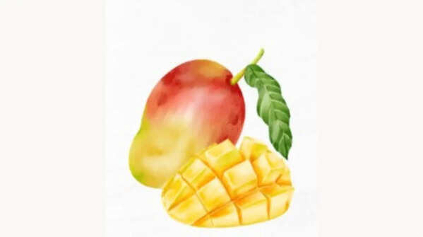 The mango