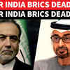 Article image for: 'Not Even Israel Or U.S. Can Protect You': Iran's Araghchi Blasts UAE After BRICS Deadlock | WATCH