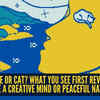Article image for: Optical illusion personality test: Human face or cat? What you see first reveals if you have a creative mind or peaceful nature
