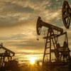Article image for: Oil stocks slide as price hike fails to offset losses
