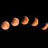 Article image for: Jyeshtha Amavasya 2026 Date and Time: Shani Jayanti, Vat Savitri Vrat puja rituals and significance