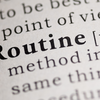 They show interest in routine and imitation
