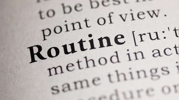 They show interest in routine and imitation