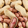 Peanuts