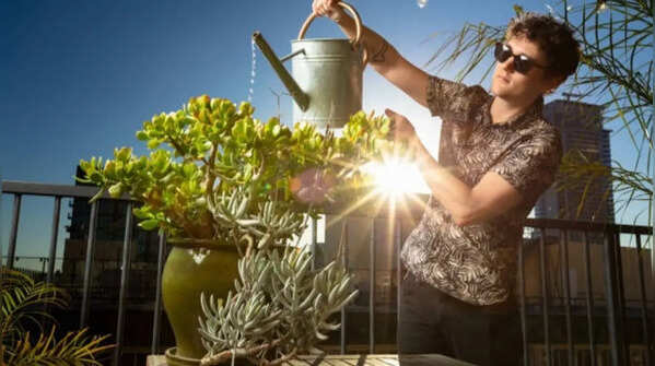Early morning gardening decreases screen overload