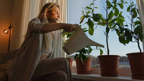 Gardening activities promote emotional connections