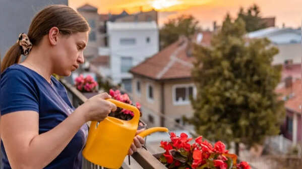Plant watering promotes mindfulness and helps with focusing