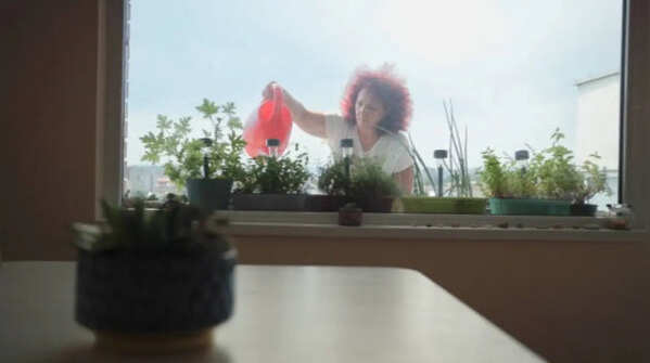 Early morning gardening contributes to a calmer morning routine