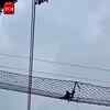 Article image for: India’s Only Ape Uses Canopy Bridge Above Railway Line