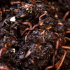 Article image for: Add fertiliser and protect it from pests