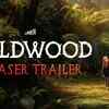 Article image for: Wildwood- Official Teaser