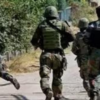 Article image for: Anti-terror search operation launched across J&K’s Poonch district