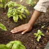 Article image for: Gardening makes a person slow down