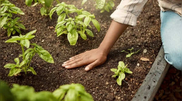 Gardening makes a person slow down