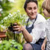 Article image for: Caring about <i class="tbold">plant</i>s promotes consistency