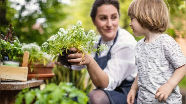 Caring about plants promotes consistency