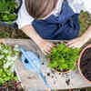 Article image for: Every season brings changes, and it is normal