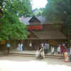 Article image for: Mannarasala <i class="tbold">sree</i> Nagaraja Temple, Kerala