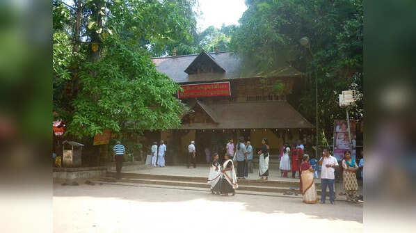 Mannarasala Sree Nagaraja Temple, Kerala