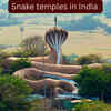 Article image for: 5 snake temples in India that attract thousands of devotees and curious travellers every year