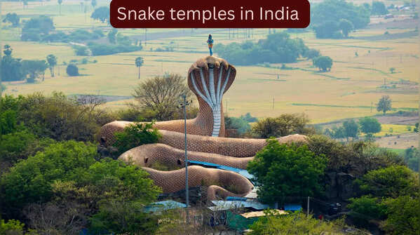 5 snake temples in India that attract thousands of devotees and curious travellers every year