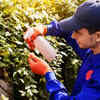 Article image for: Proper maintenance is critical in preventing pests