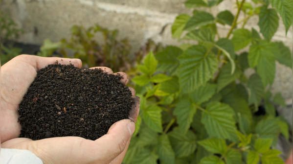Refill regularly with compost