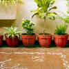 Creating problems with poor drainage