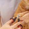Trim your cat’s nails