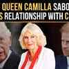 Article image for: Prince Harry Blames Queen Camilla For 'Blocking Peace' With King Charles: Reports