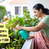 Article image for: 5 smart and pocket-friendly tips to grow a grocery-saving kitchen garden for under ₹1,000