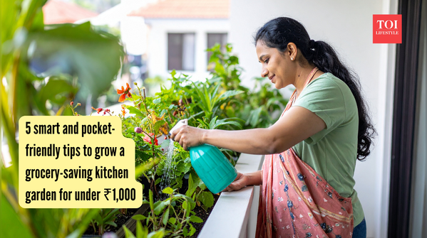 5 smart and pocket-friendly tips to grow a grocery-saving kitchen garden for under ₹1,000
