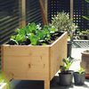 Article image for: Choose the right spot for sunlight