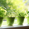 Plant vegetables and herbs that grow back when cut ( and you use daily)