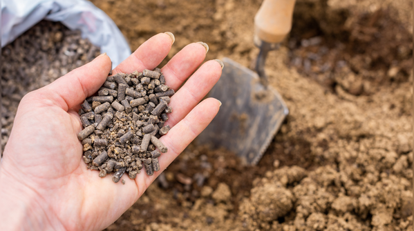 Make a homemade organic fertiliser