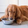 Carefully monitor appetite and eating habits