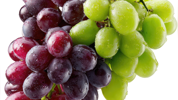 Black grapes and antioxidants: What research actually says