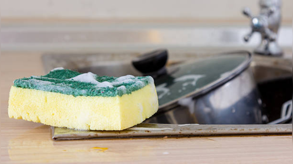 Kitchen sponge