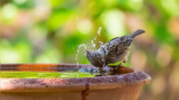 Maintain a source of clean water always