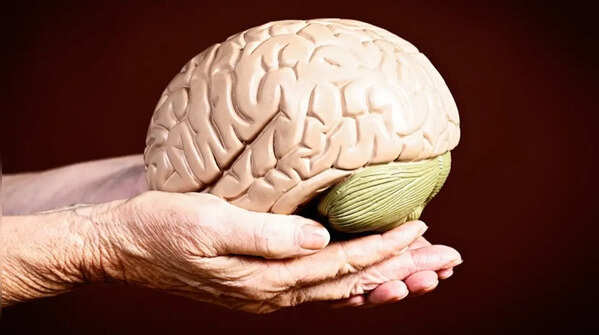 Easy hobbies that slow brain aging