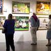 Museum and gallery visits