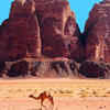 How to reach Snake Canyon
