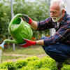 Gardening